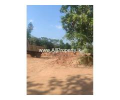 Land For Rent