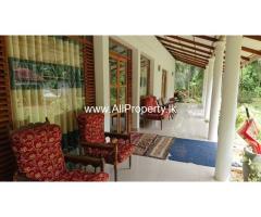 Land with house & coconut trees for Sale