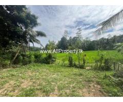Land for Sale in Mihinthale